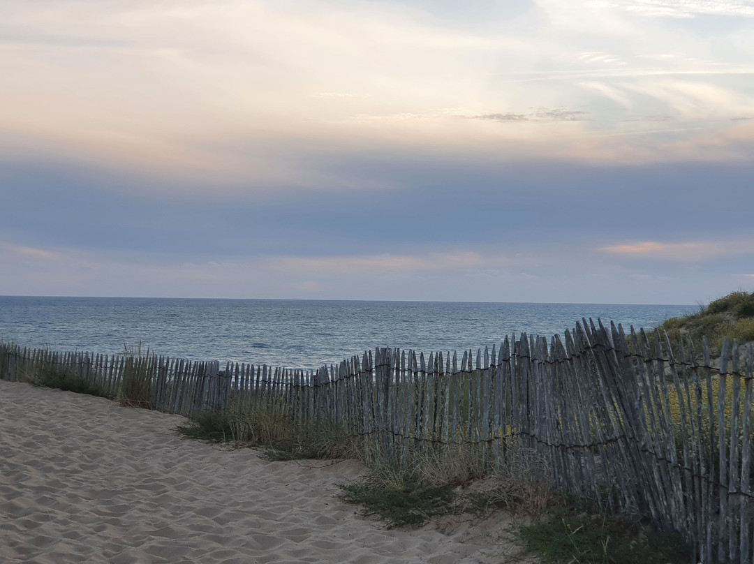 Plage des Conches景点图片