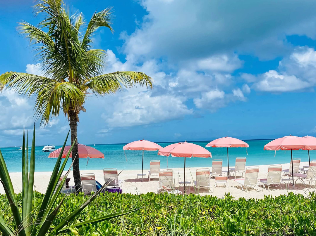 海洋俱乐部渡假村主图