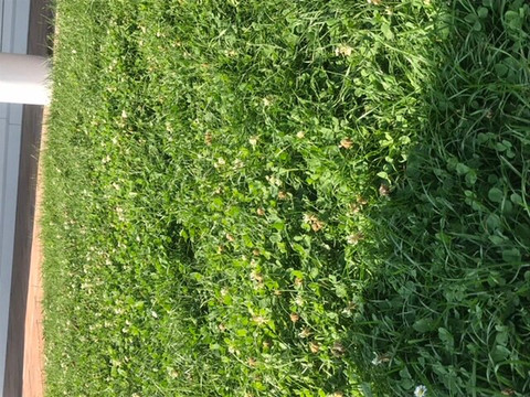 Thermalbad Aukammtal-威斯巴登必去景点