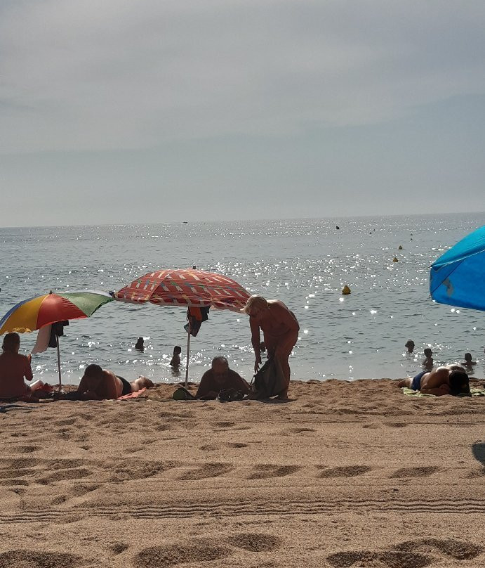 Playa de S'Abanell景点图片