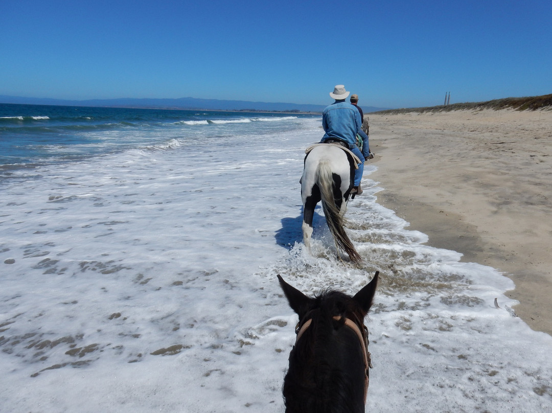 Monterey Bay Equestrian Center景点图片
