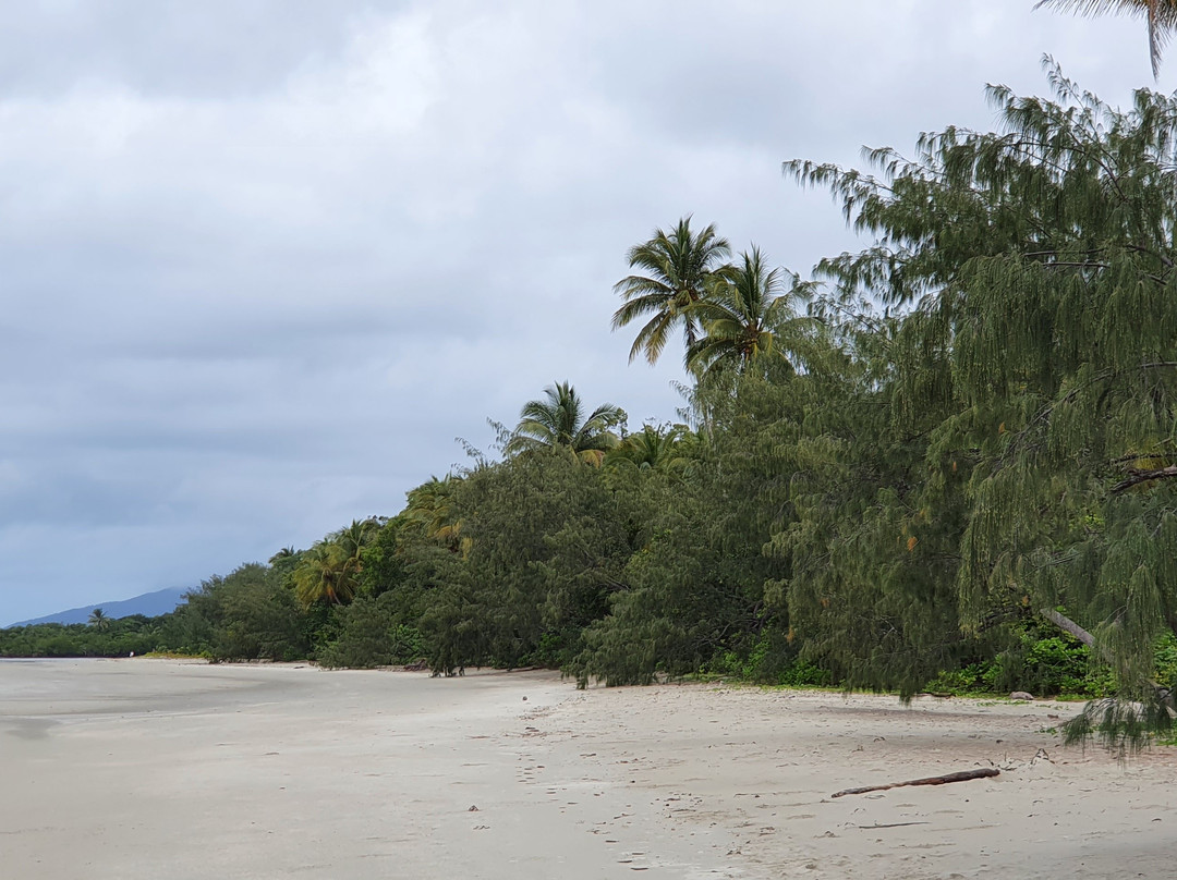 Myall Beach-Cape Tribulation必去景点