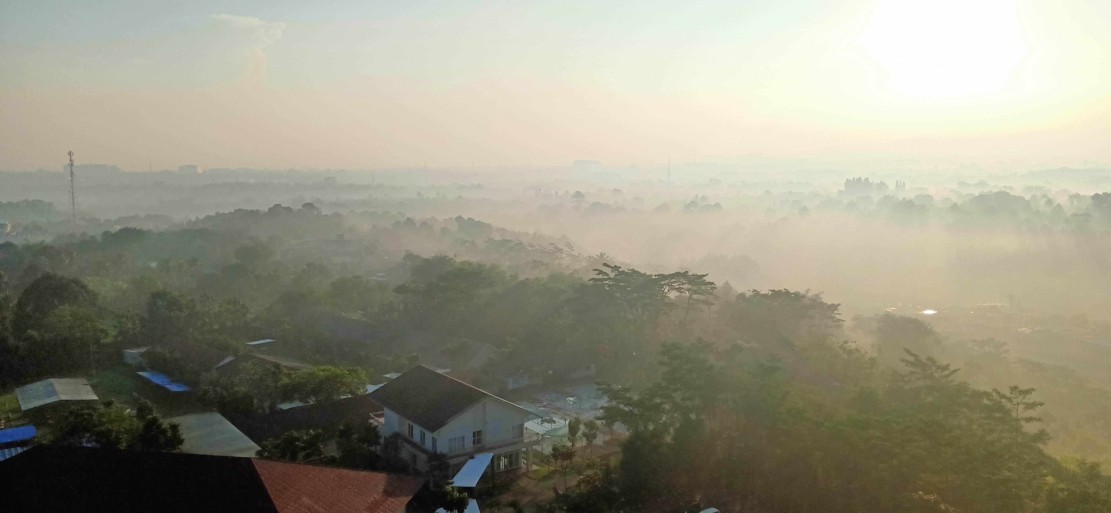 The Forest Resort Hotel-官方