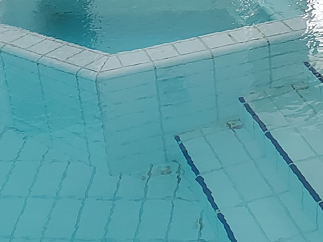 Logis Hôtel les Cols Verts主图