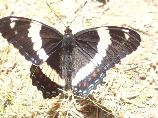 Wakami Lake Provincial Park-Sudbury必去景点