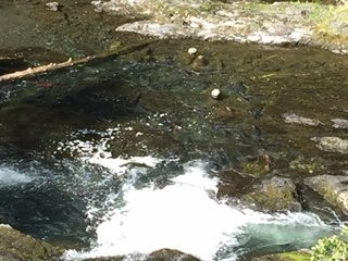 Russian River Falls-Cooper Landing必去景点