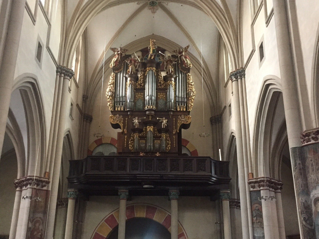 Stiftskirche St. Martin und St. Severus景点图片