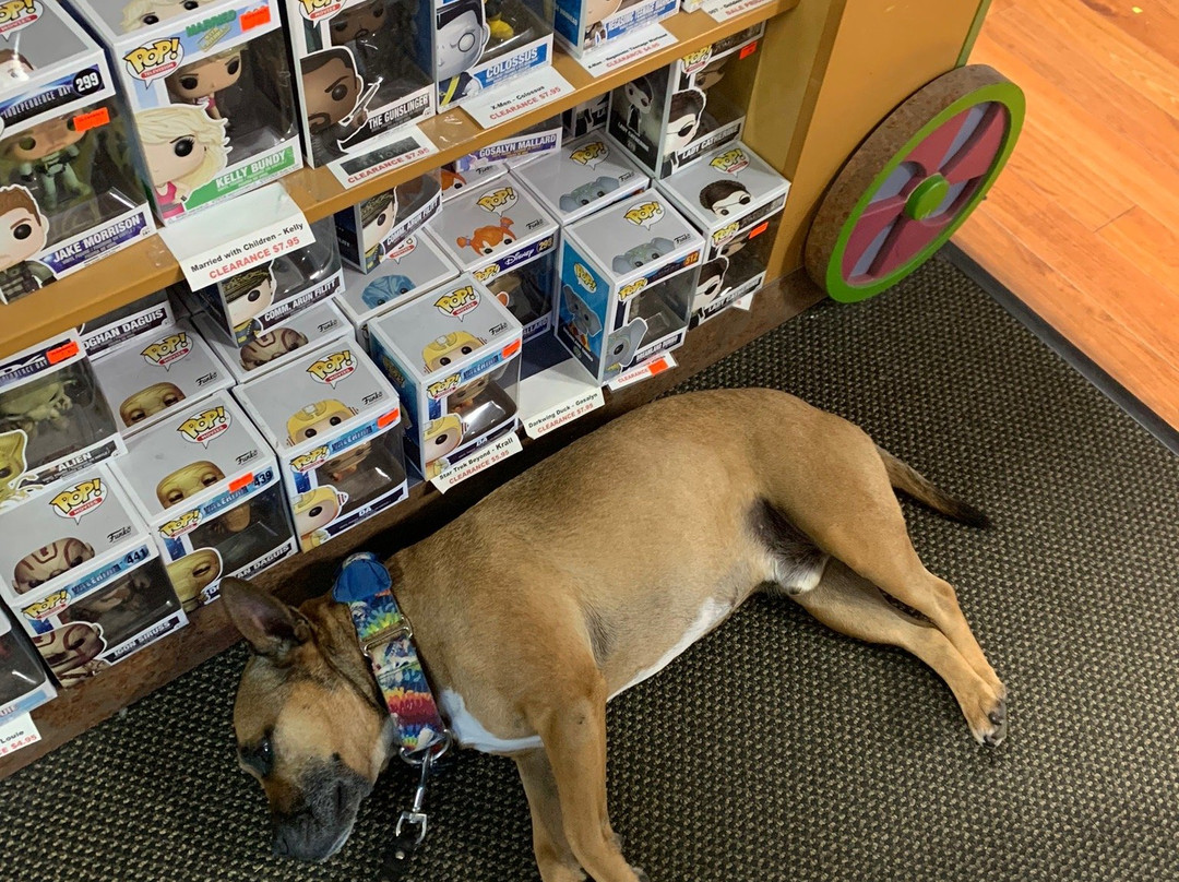 Toy Traders-Langley必去景点