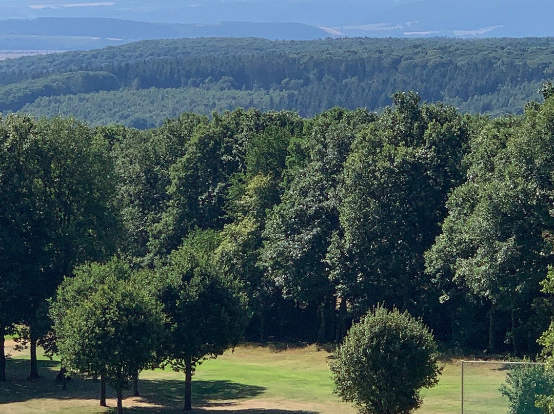 Land & Golf Hotel Stromberg主图