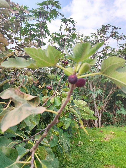 Hadera River Park-Hadera必去景点