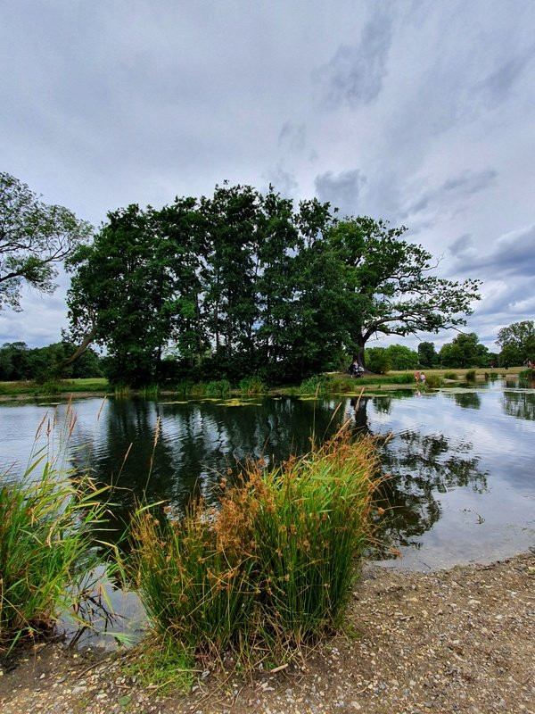Beddington Park景点图片