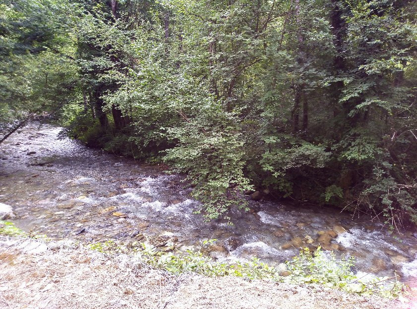 Valle dell'Argentino景点图片