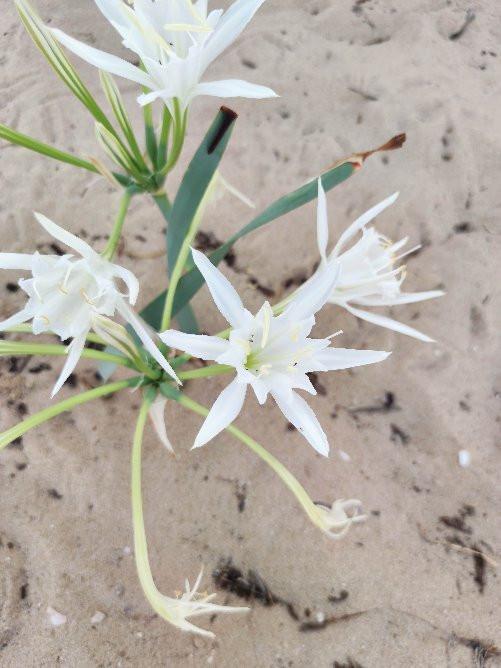 Ashdod Yam Park-阿什杜德必去景点