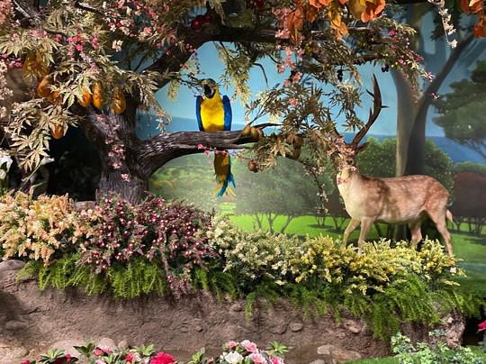 ICR Discovery Center-达拉斯必去景点