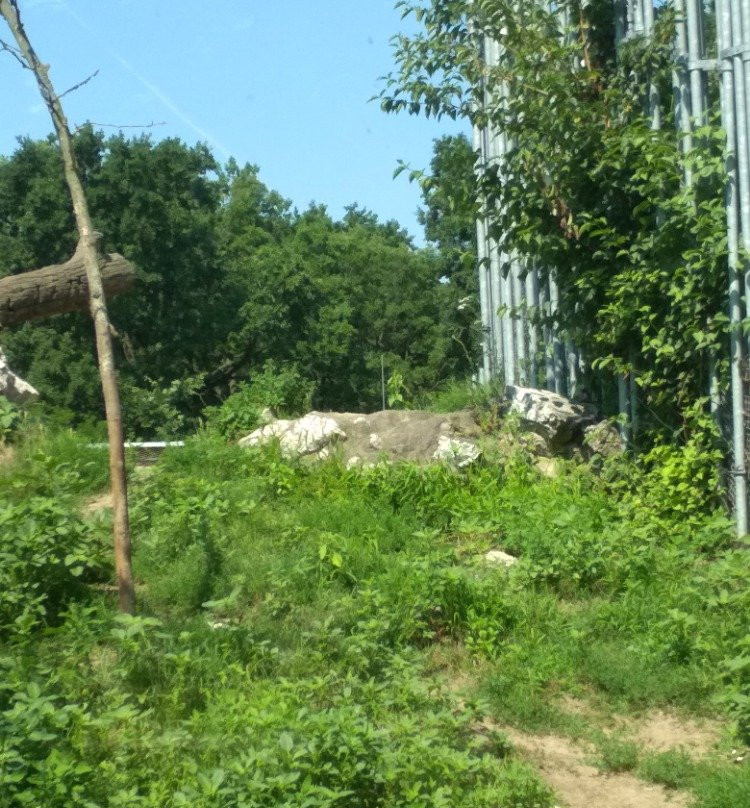Zoo Hodonin景点图片