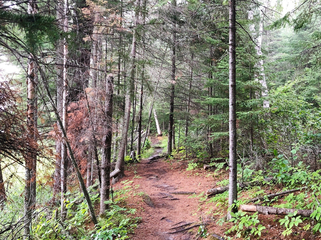 Tunnel Island Trail-凯诺拉必去景点