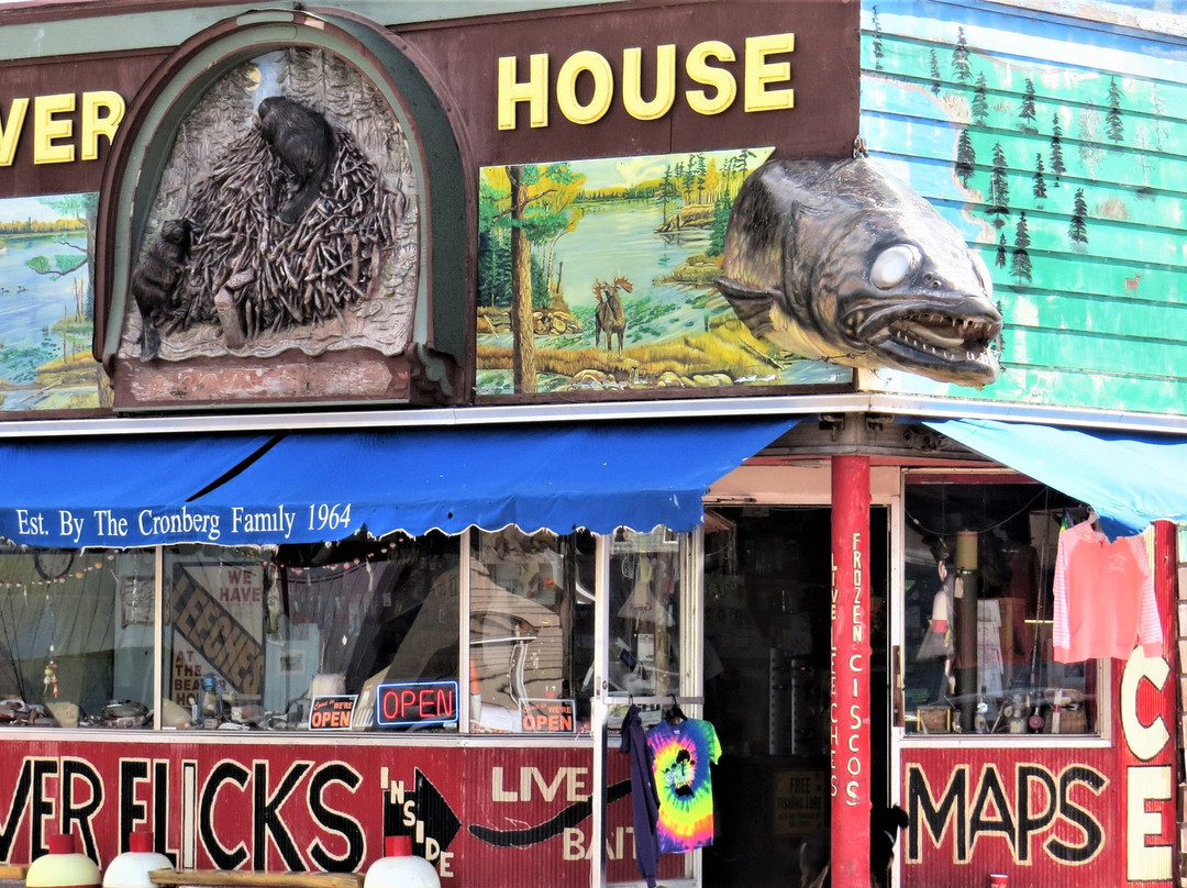 Beaver House-大马雷必去景点