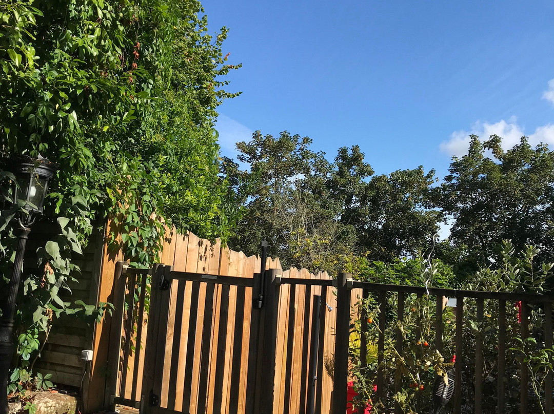 Domaine des Deux Cedres主图