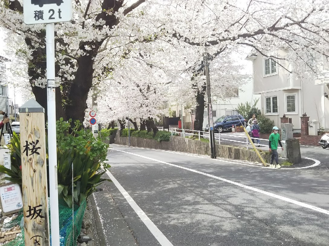 桜坂-大田区必去景点