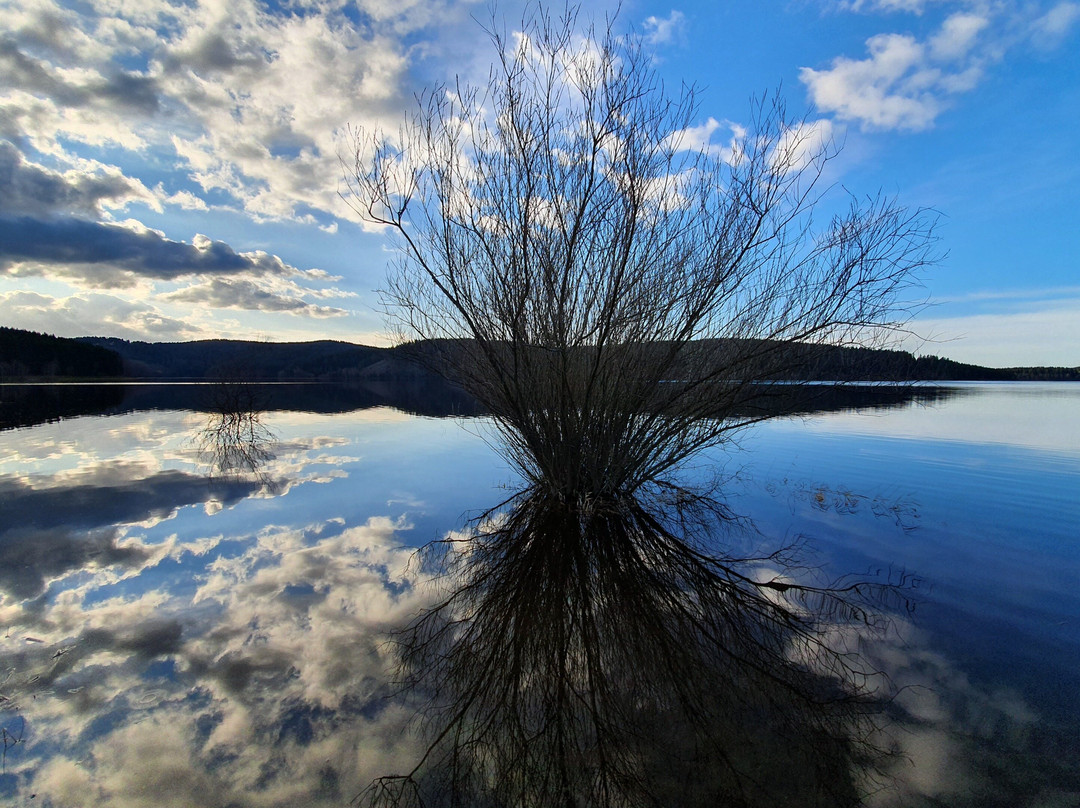 Abenteuerland-am-Naturpark-Plohn必去景点