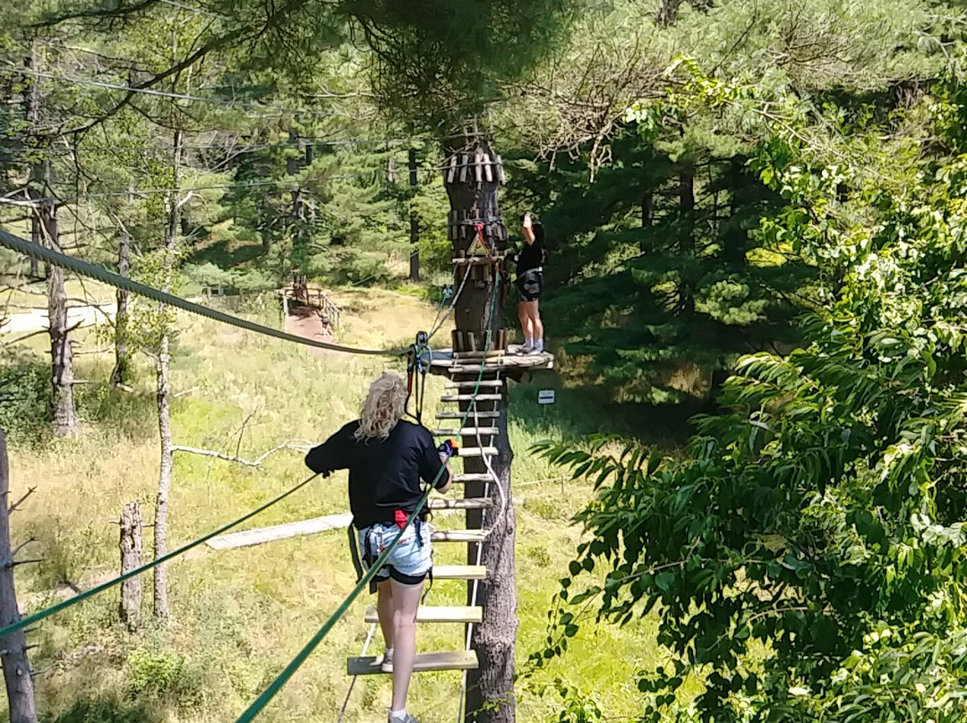 Go Ape Zipline & Adventure Park景点图片