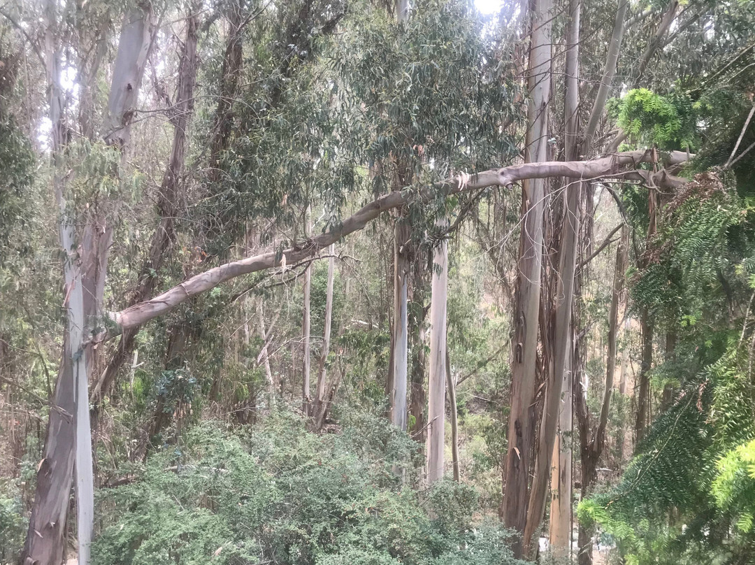 查米纳德度假及酒温泉酒店主图