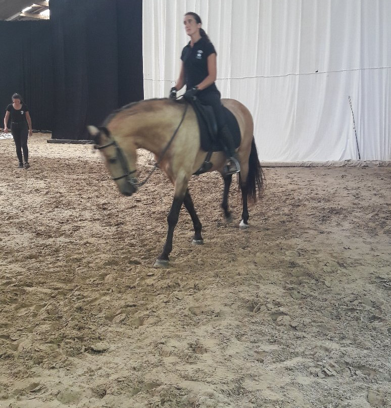 Théâtre Equestre de la Pommeraye景点图片