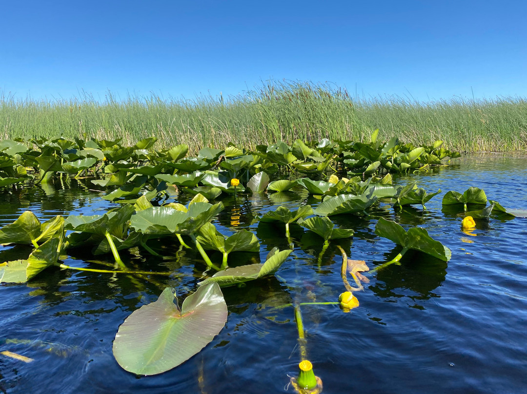 Roe Outfitters-克拉马斯福尔斯必去景点
