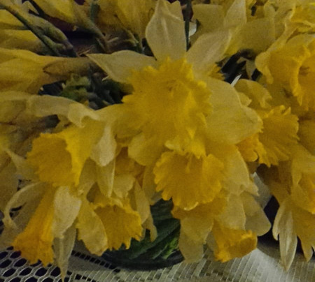 Pension Mave Mai主图