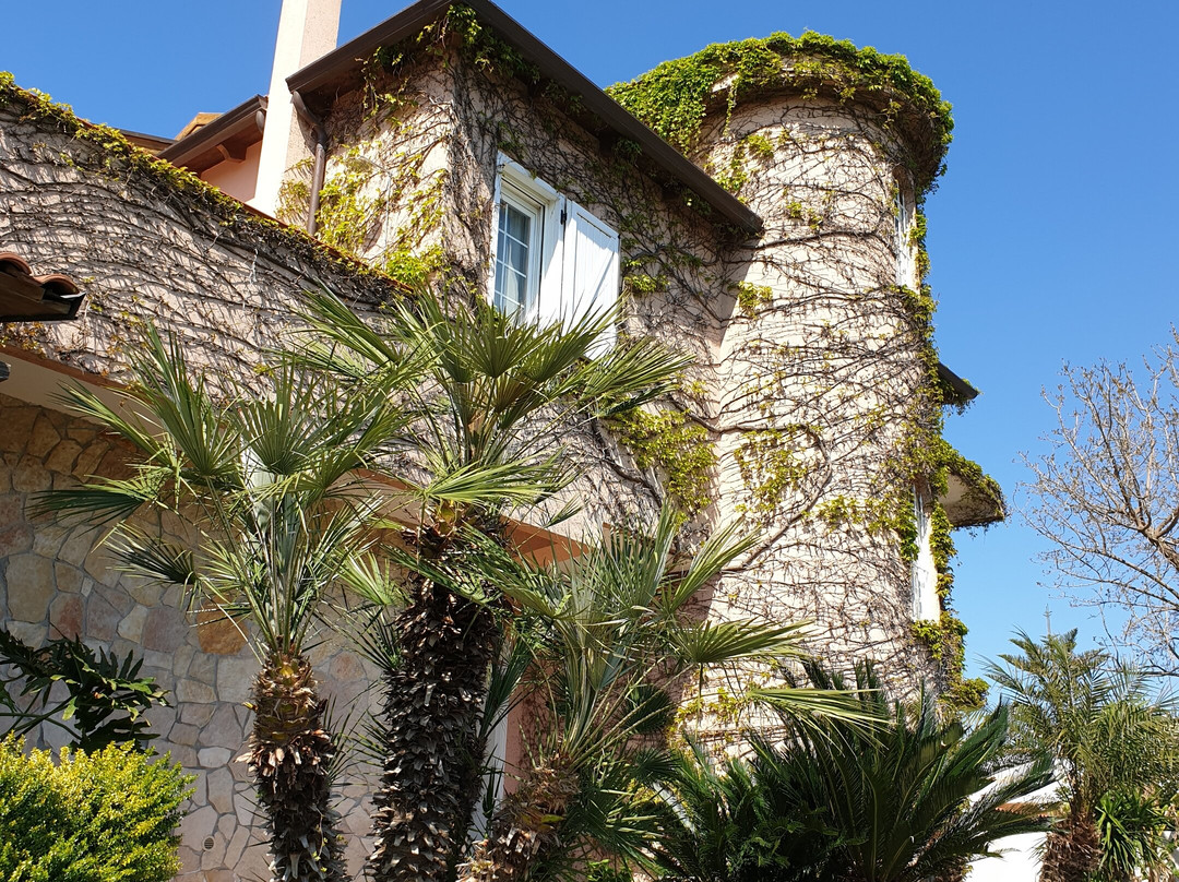 B&B Il Giardino delle Jacaranda主图