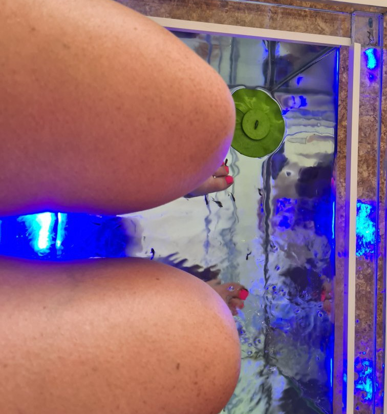 Fish Massage Marseillan Plage景点图片