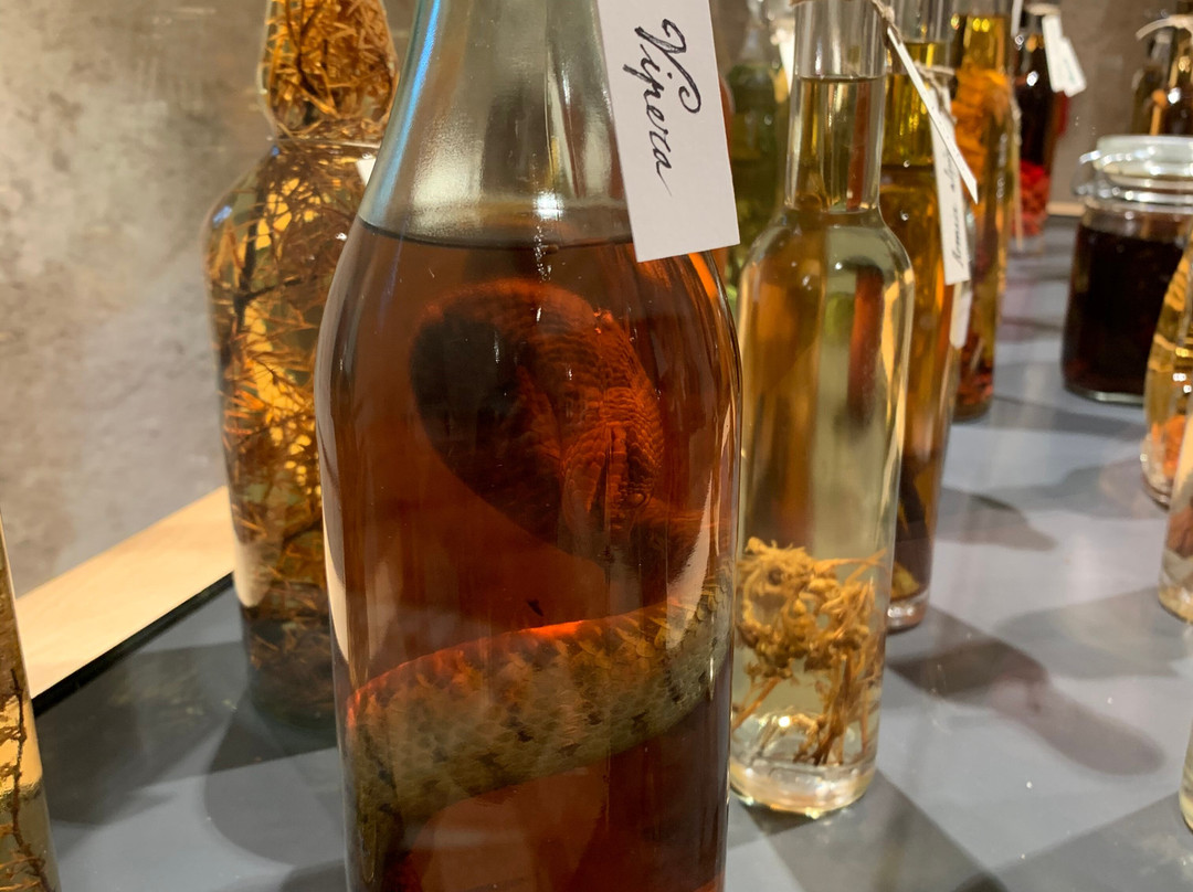 Museo degli Usi e Costumi della Gente Trentina-San Michele all'Adige必去景点