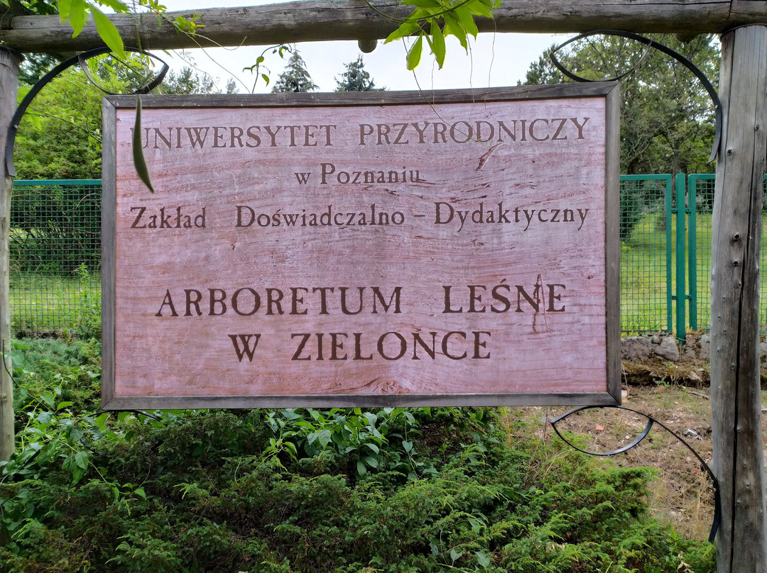 Forest Arboretum in Zielonka景点图片