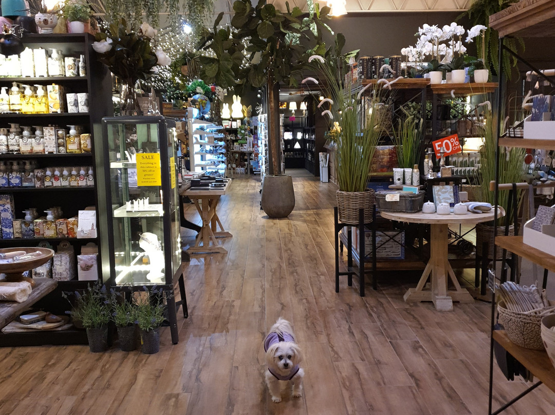 Nest & Burrow-Moss Vale必去景点