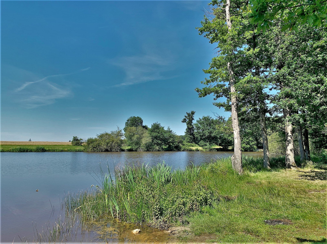 Etang de Beauregard-Le Louroux必去景点