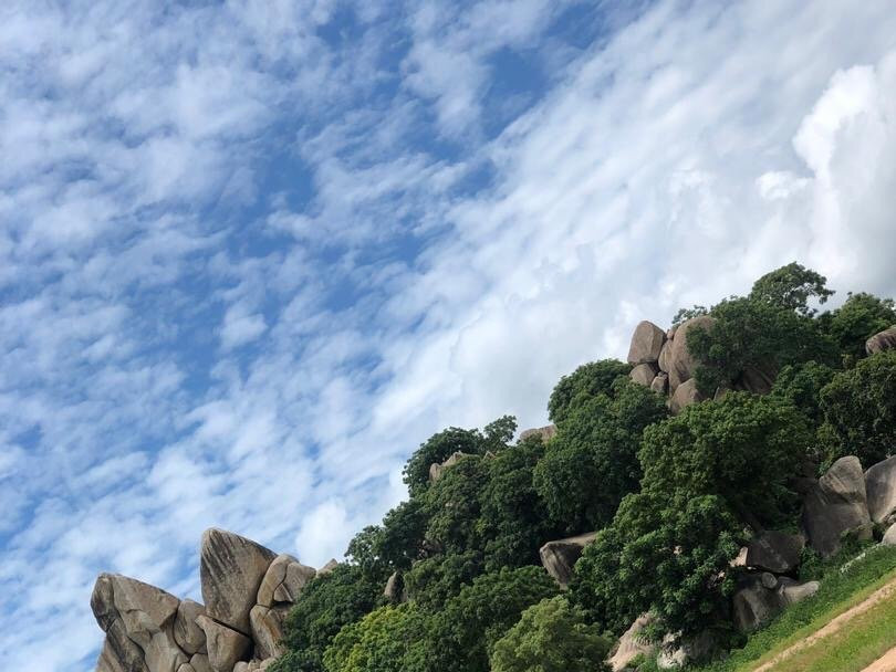 Benoue National Park-Ngaoundere必去景点