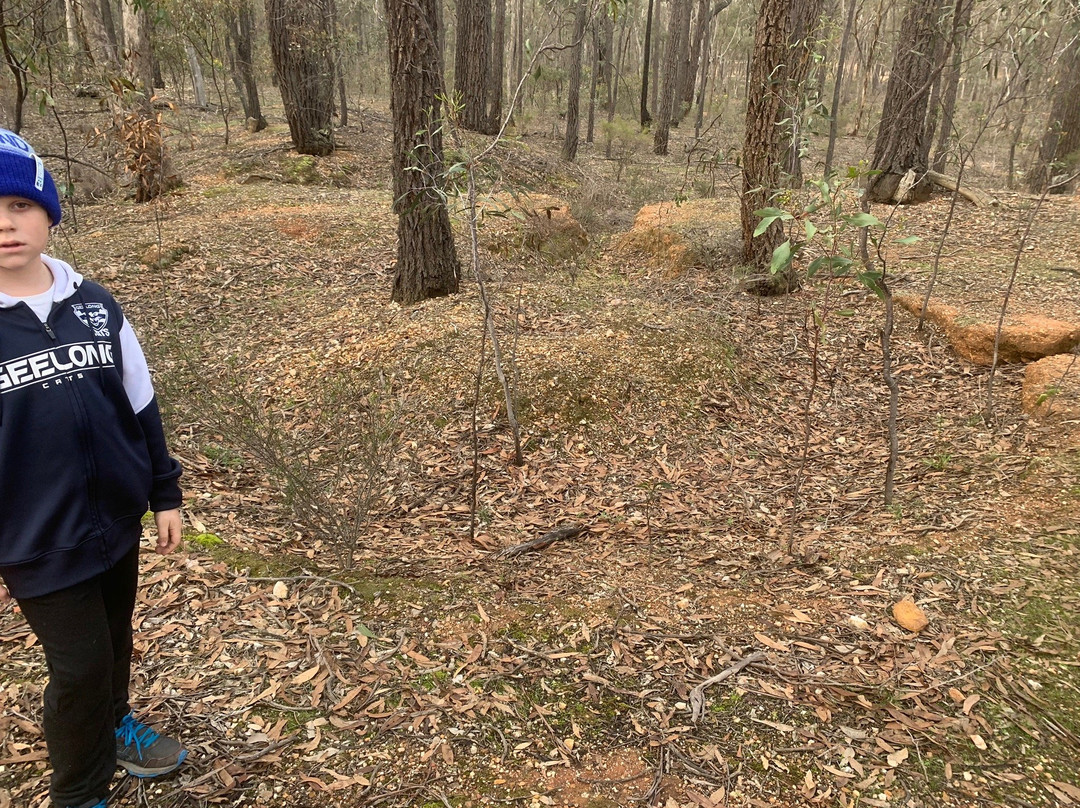 Welcome Stranger Obelisk