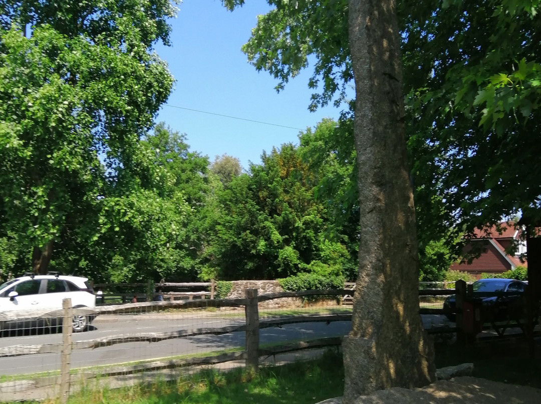 Bradbourne Lake Park景点图片