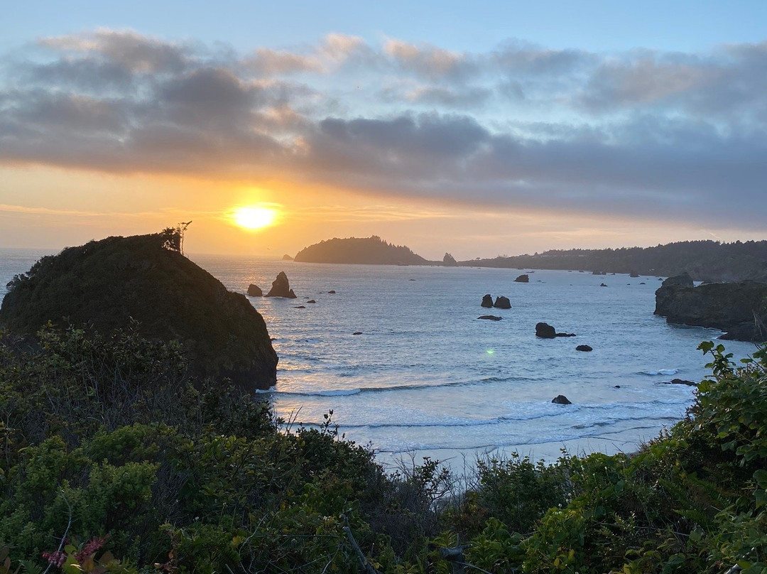 Sea Cliff Motel主图