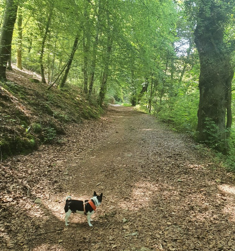 Vierge du Bedat-Bagneres-de-Bigorre必去景点