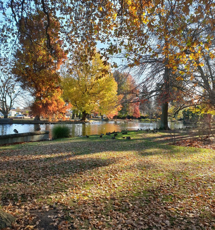 Ashburton Domain景点图片
