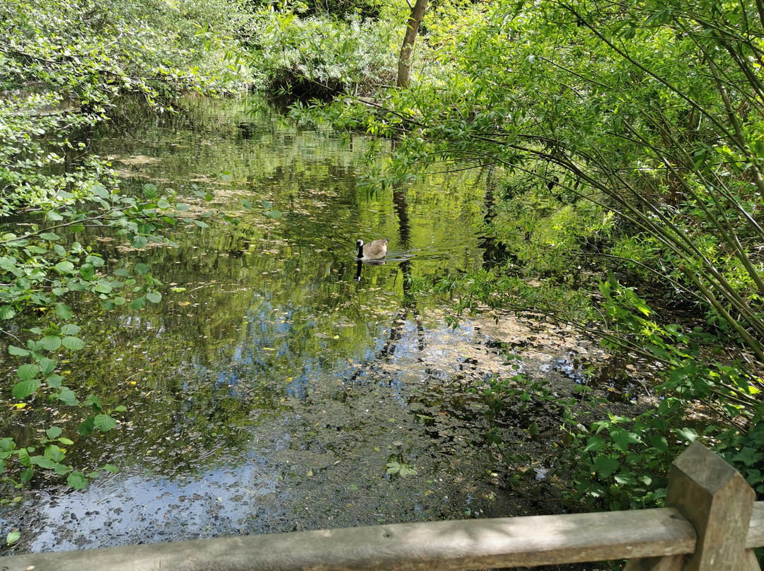 Christchurch Park-伊普斯威奇必去景点