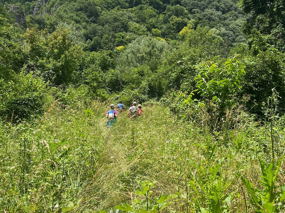 The Black Stork Hotel主图