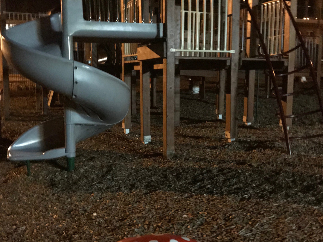 Lake Guthridge Playground