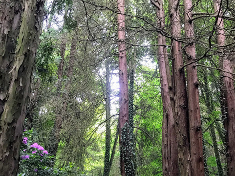 Arboretum w Lipnie-Lipno必去景点