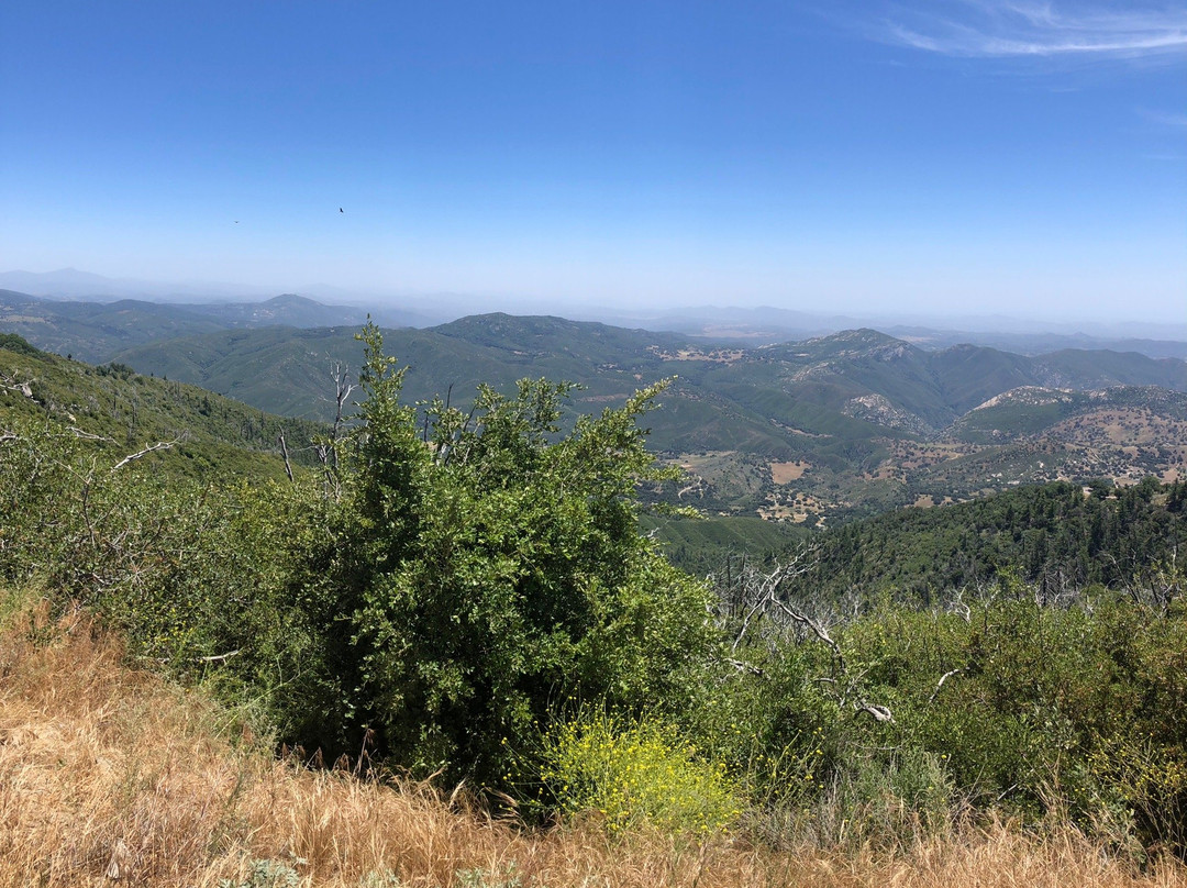 Palomar Mountain State Park景点图片