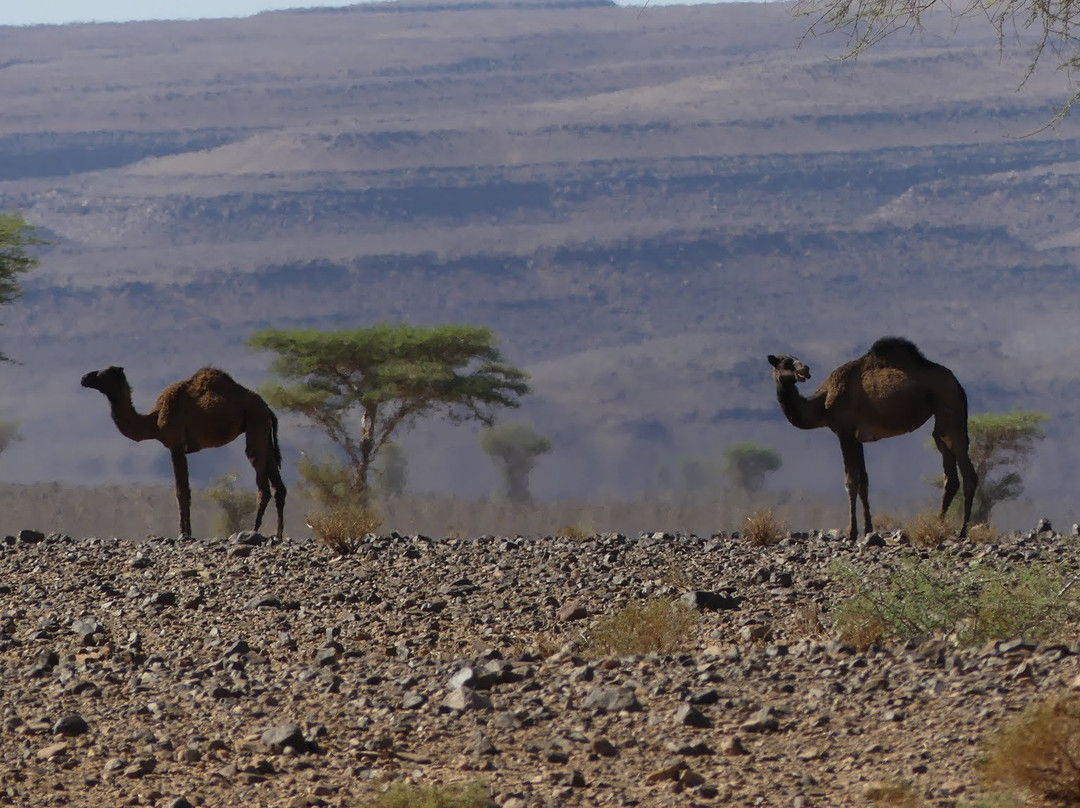 Atlas Holiday Morocco-马拉喀什必去景点