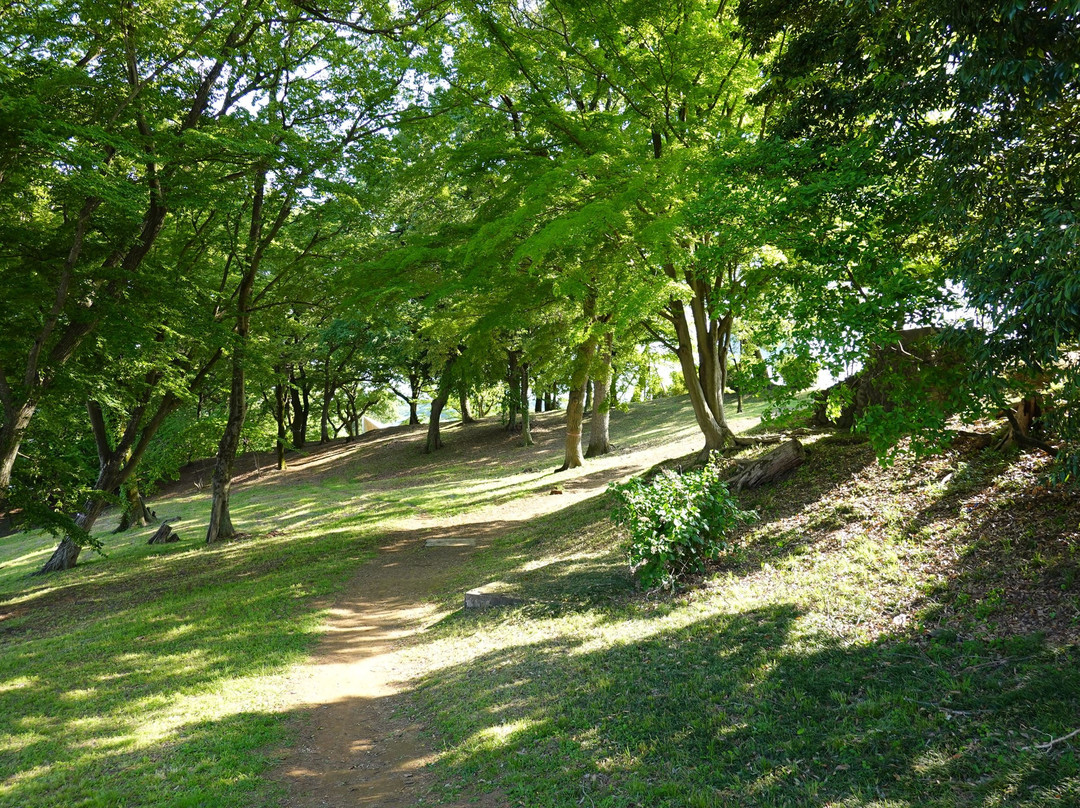 Sayama Park-东村山市必去景点