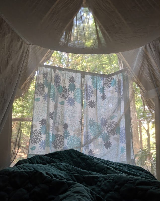 Casa Loma Minca主图