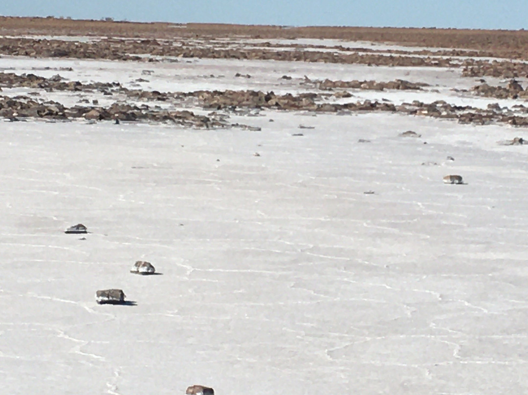 Lake Torrens National Park-Andamooka必去景点